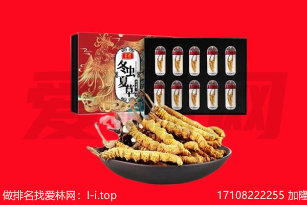 嘉兴市秀洲回收虫草.jpg